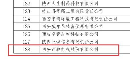 喜訊|西馳電氣榮獲國家級專精特新“小巨人”企業(yè)(圖2) 喜訊|西馳電氣榮獲國家級專精特新“小巨人”企業(yè)(圖2)